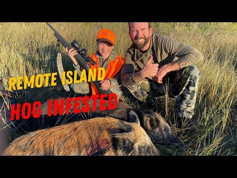 WILD HOG Hunt on a PUBLIC LAND (Catch,Clean,Cook)