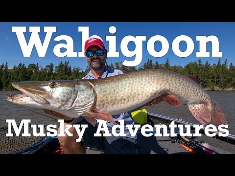 Wabigoon Musky Adventure on Wabigoon Lake In Sunset Country