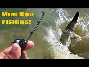 Micro Fishing Rod Challenge!