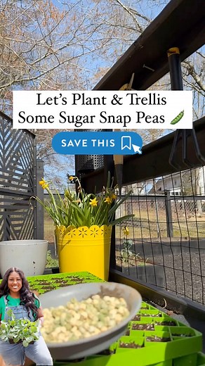 5.2K views · 81 reactions | SAVE THIS POST: Get On Up and let’s grow...