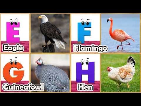 ABC Song | Birds ABC Song | Phonics for Kids| Learn ABC, Baby | Alphabet Letters