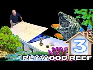 Building a PALAU REEF TANK PALUDARIUM using Plywood and Epoxy!