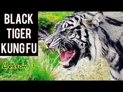 Black tiger Kung fu for beginners lesson 1 / step by step tutorial / 黑虎拳