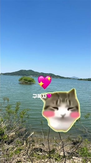 크로마키 출쳐:반찌니의 크로마키님🩵 감사합니다!# 담담 디디디디