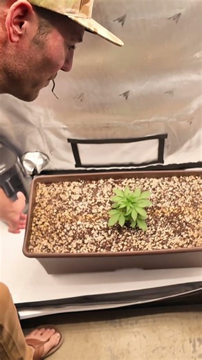 How to Tell When Your EarthBox Needs Water