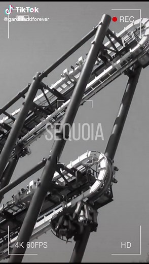 Sequoia Adventure🔥 #gardaland #gardalandpark #gardalandsequoia #rollercoaster #montagnerusse #adrenaline #attrazioni #giostre #attractions #themepark