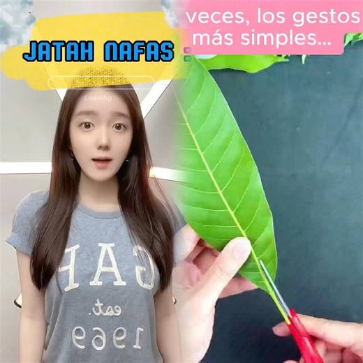 #pov jatah nafas orang berbeda-beda setiap harinya