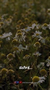 20K views · 577 reactions | ಗೀತಾ ಸಂಗೀತ... ▪ ಚಿತ್ರ: ಗೀತಾ (1981) ▪...