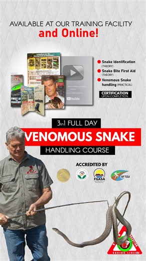 11K views · 135 reactions | #blackmamba myth #5: "a Black mamba can kill you in 5 minutes" Take a look at what Mike has to say about the deadliness of the South African black mamba. #snakecourses #snakeawareness #snakehandling #snakehandlingtraining #education #conservation #snakebite #venomoussnakes #venomoussnakehandling #snakeeducation #healthandsafety #snakecatcher #snakeremoval #snakerescuer #firstaidforsnakebite #snakesofig #snake #snakesofinstagram | African Reptiles and Venom | Facebook