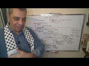 Module 310 - Lecture 19 - Part 1: Introduction to analgesics- Opioid analgesics.