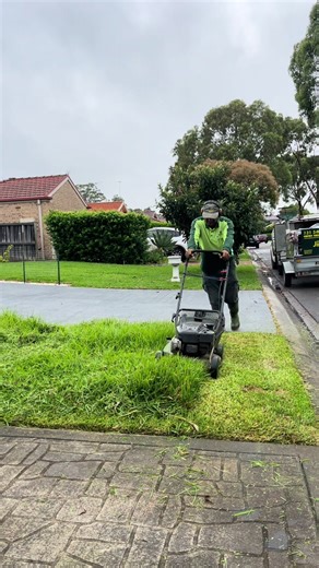 Expert Lawn Care Techniques for Long Grass in Sydney