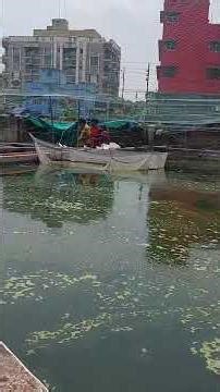 Toofun se Fish farmer ka Bohot Loss Hota Hai.. #strom #fishing #aquaculture #trending