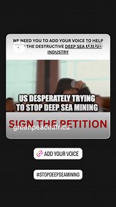 Greenpeace International on Reels