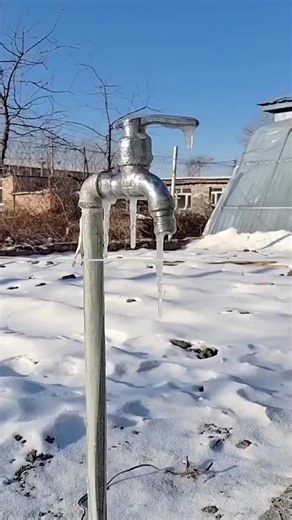 Emotional Courtroom Drama: A Fight for Family and Wealth