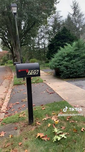 sanchezbaltazar8 (@papiichulo1993)’s videos with sonido original - music📼