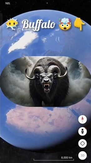 Buffalo 🦬 Capture #earth #explore #map #shorts #googleearth #buffalo