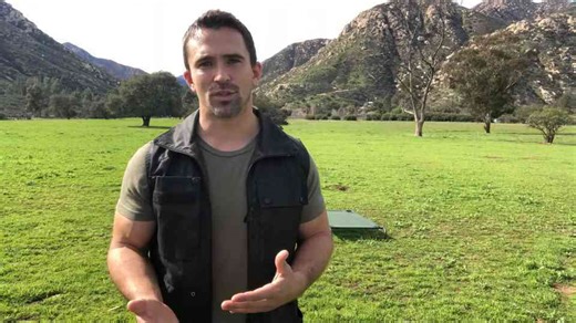 Why confusing “yes” and “good” quietly breaks dog training