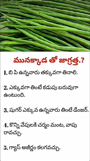 Eat Moringa Daily and See These Incredible Health Benefits!