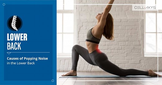 Causes Of Popping Noise In The Lower Back - Cellaxys
