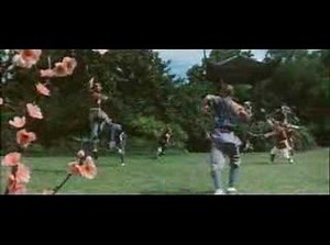 Jet Li ---- The.Shaolin.Temple clip01