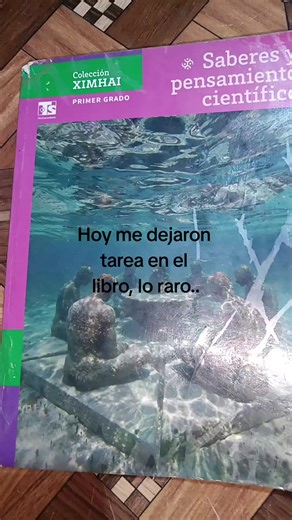 Hoy me dejaron tarea en el libro — ¿por qué es raro?