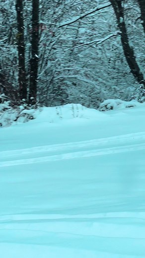 #romania🇷🇴 #Lupeni #valeamierlesei #straja #tinutulmomarlanilor #nature #naturelover #cai #horseslover #friesianhorse #horses