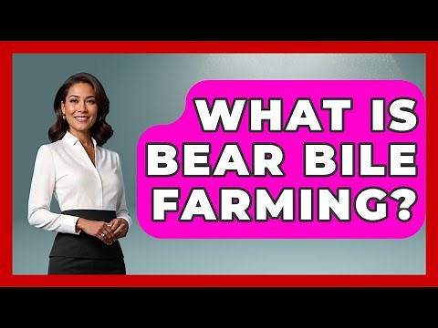 What Is Bear Bile Farming? - The Wild Life Explorer