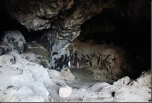 The Shark`S Cave [1978]