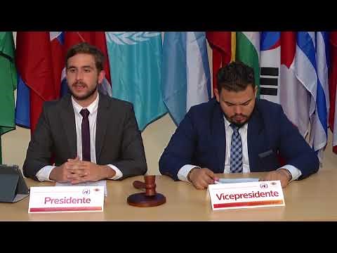 HOW TO MUN? (vídeo explicativo)