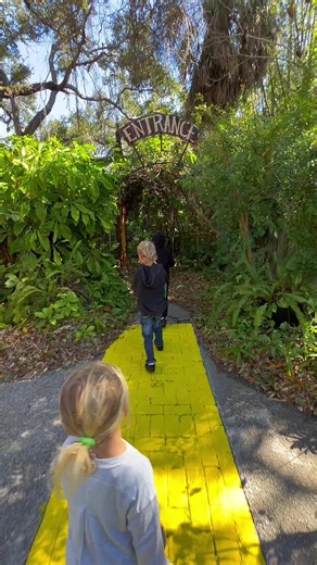 A little hidden jungle gem in the heart of downtown Sarasota! ❤️ #sarasotaflorida #discoversarasota #floridathingstodo #swfl #motorhomeadventures