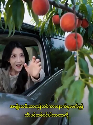 C-Drama Recap: What's Trending with Creator Search Insights?