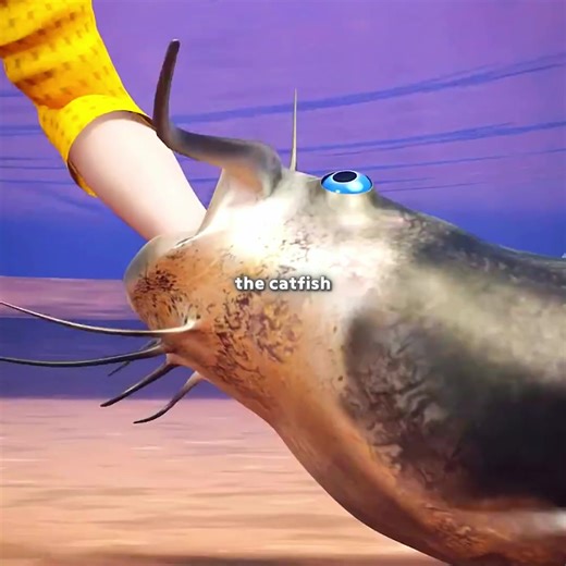 Catfish bite #catfish #bite #fyp | cat fish