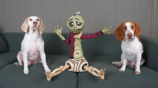 Dog Rescues Zombie Boy From Zombie School! Funny Dogs Maymo & Potpie vs Zombie Teacher