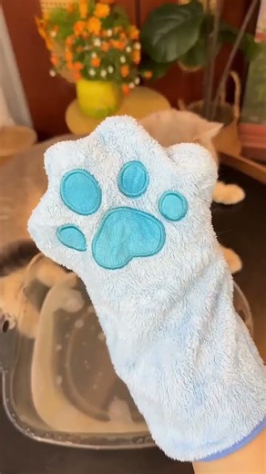 My Cat LOVES This Bath Hack! 🛁🐾 #catgrooming #cutecat #petcare #cleancat #pethacks