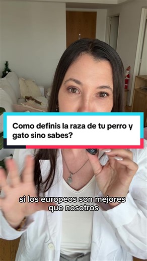 Razas de perros: ¿Por qué mestizos?