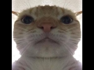 the tpot prediction ever (tpot 3)