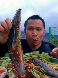 ปลาดุกต้มน้ำปลาร้า#บ่าวย้อ #thailand #food #thaifood | food