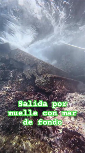 Buceo consciente en Gran Canaria: una experiencia única