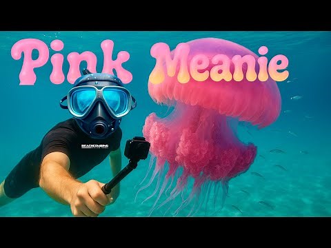 Beachcombing - Pink Meanie