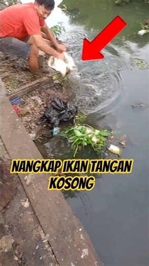 Beyond reason! Catching fish with bare hands and then placing them directly on the trading table!