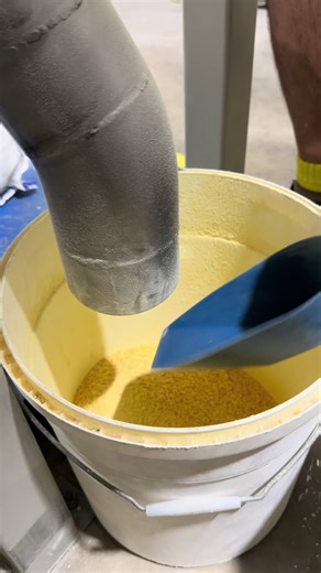 Quality doesn’t happen by accident. During production, we regularly collect representative samples to make sure every batch meets our standards — for texture, consistency, and natural goodness. It’s all part of our commitment to doing things properly, so every lupin product that leaves our facility reflects the care, precision, and pride behind it. 💛🌱 Because real food deserves real attention. #TheLupinCo #Healthy #Flakes #GLP1 #Food