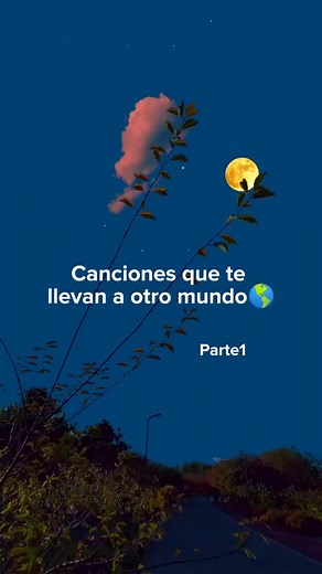 Aesthetic Music Sounds for a Tranquil Experience