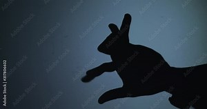 The shadow of the hand which depicts a rabbit on a blue background