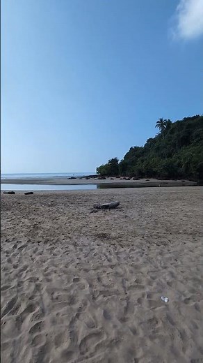 Stunning Agonda Beach in Goa: Tropical Paradise Vibes!