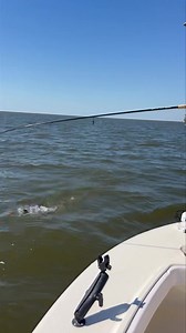 Absolute Fishing Charters, LLC on Reels