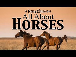All About Horses | Amazing Facts About the Domestic Horse Equestrian Animal Breeds Kentucky Derby