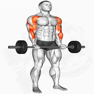 144K views · 19K reactions | Bigger Arms Workout | Mundo músculos Rutinas | Facebook