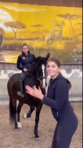 Horse Riding Techniques in an Indoor Arena