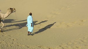 Caravan of camels in the desert - Free Stock Video