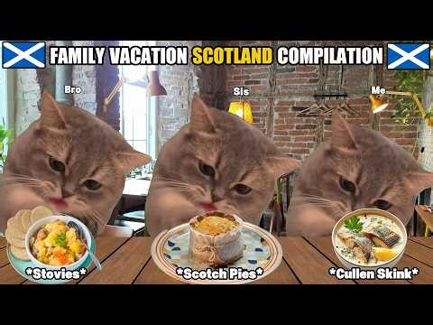 CAT MEMES: FAMILY VACATION SCOTLAND COMPILATION